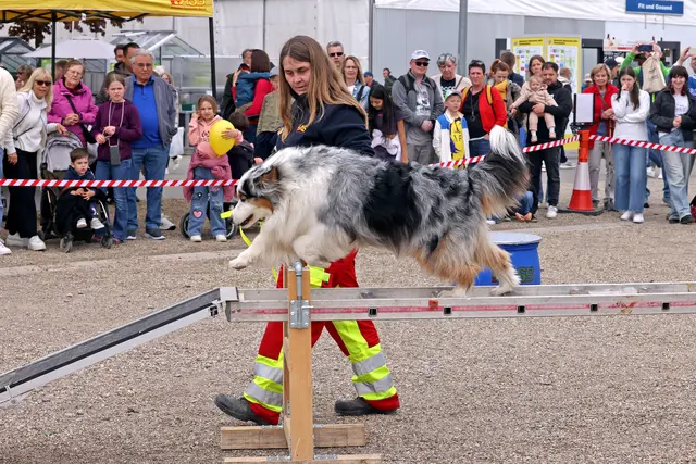 Hunde am Start | Foto: Christoph Blüthner