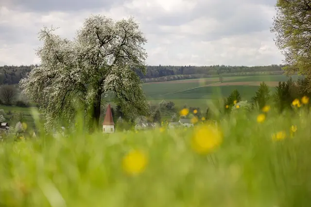 Frühlingsgefühle ade: Stattdessen sind im Land häufig Schauer möglich. | Foto: Thomas Warnack/dpa