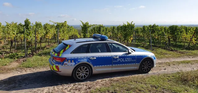 Bei einem Unfall zwischen Auto und Fahrrad wurde ein 64-jähriger Mann leicht verletzt. Die Polizei spricht von einem Zusammenstoß im Einmündungsbereich. | Foto: Polizeidirektion Neustadt/Weinstraße