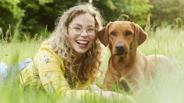 Frühlingsgefahren für Hund und Katze wie Zecken, Allergien, Verletzungen und Giftpflanzen. | Foto: LVM Versicherung