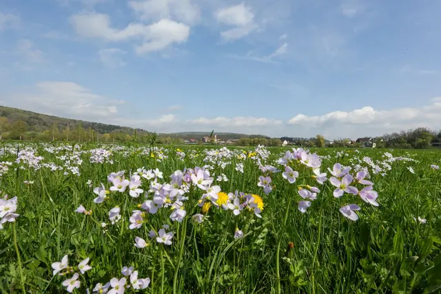 Die Woche in Baden-Württemberg beginnt mit einem Mix aus Sonne und Wolken. (Archivbild) | Foto: Thomas Warnack/dpa