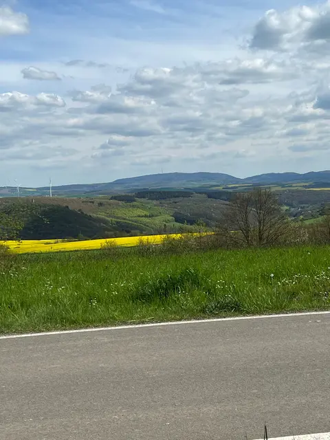Wiesen, Rapsfelder und Im Hintergrund der Donnersberg, höchster Berg der Pfalz 687 m  | Foto: Arno Mohr 