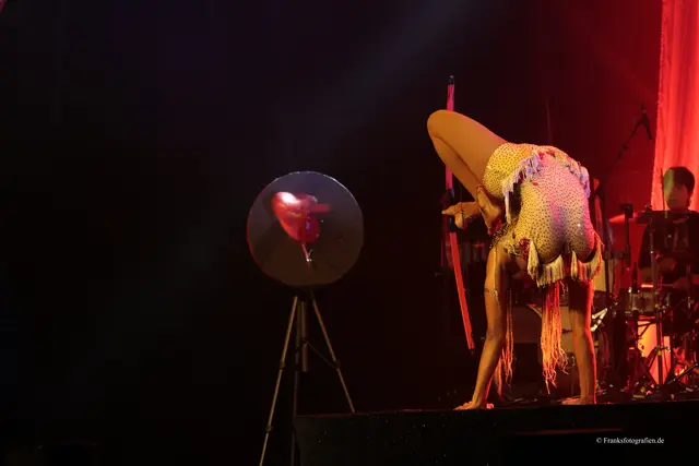 Foto: © Franksfotografien.de