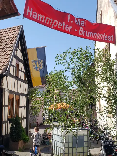 Brunnenfest fällt aus – Hammpeter planen bereits für 2027 | Foto: Hammpeter