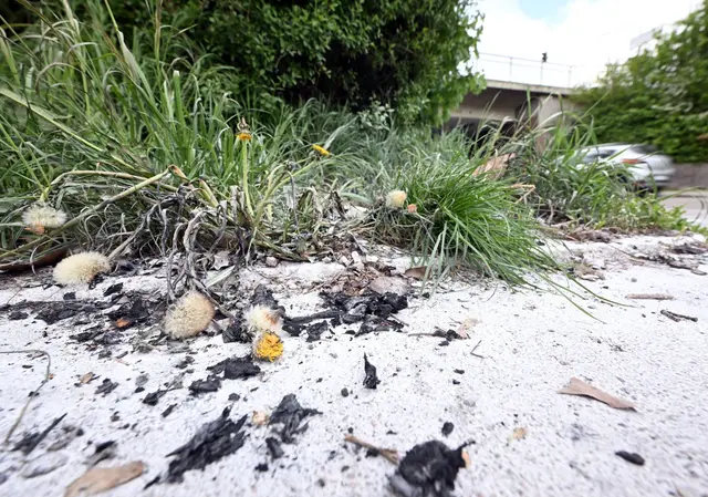 Auch zwei Tage nach dem Vorfall sind die Spuren noch zu sehen. | Foto: Uli Deck/dpa