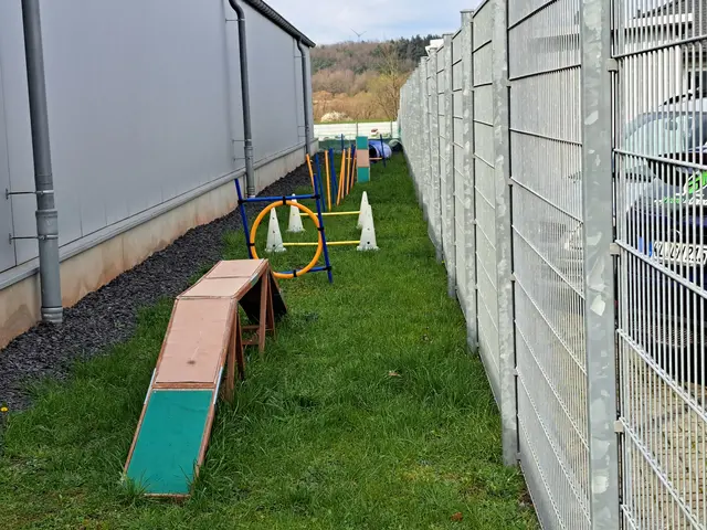 Agility im Alltag: Hunde trainieren auf dem Hundeparcours von Landfuxx Weilerbach bei Kaiserslautern Beweglichkeit, Konzentration und Vertrauen | Foto: Monika Klein