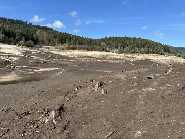 Auf dem Grund | Foto: EnBW
