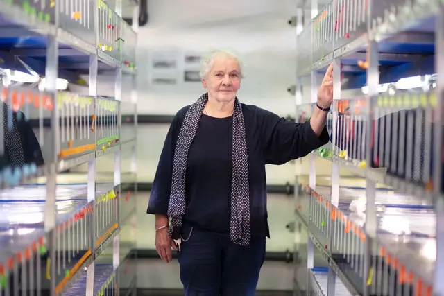 Christiane Nüsslein-Volhard wünscht sich mehr Wertschätzung für Naturwissenschaften. (Archivbild) | Foto: Marijan Murat/dpa