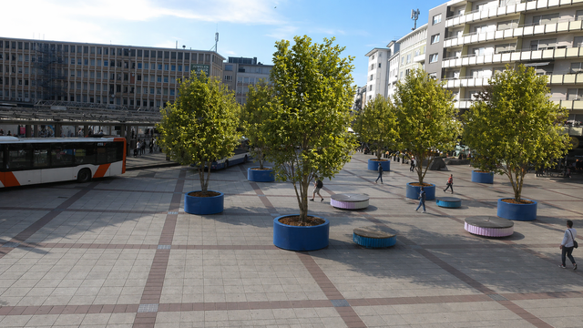 Mobiles Grün in der City könnte das Raumklima verbessern, wo entsiegeln nicht möglich ist. Am Berliner Platz muss allerdings Eventfläche frei bleiben. Die Stadt will im Herzen der Stadt entsiegeln und Bäume pflanzen.   | Foto: Julia Glöckner/KI-generiert