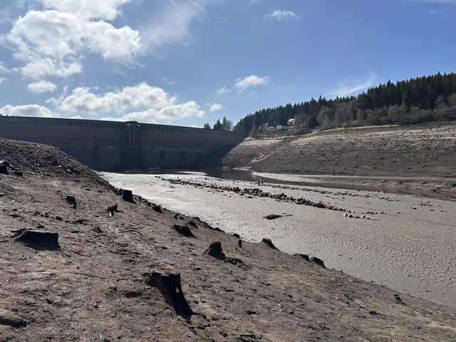 Blick zur Staumauer | Foto: EnBW