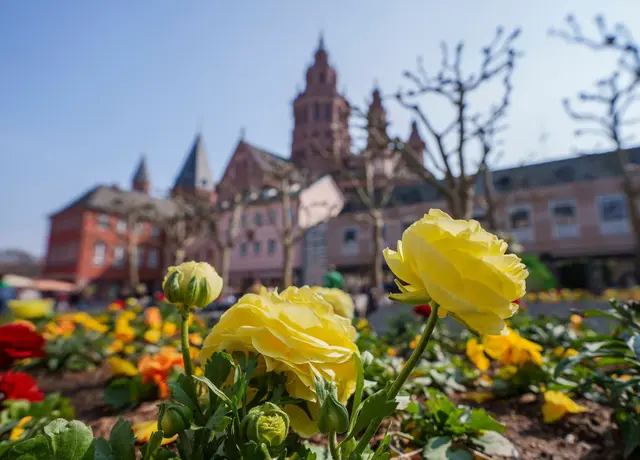 Wer in Mainz als Tourist übernachtet, muss voraussichtlich bald eine Abgabe bezahlen (Archivbild). | Foto: Andreas Arnold/dpa