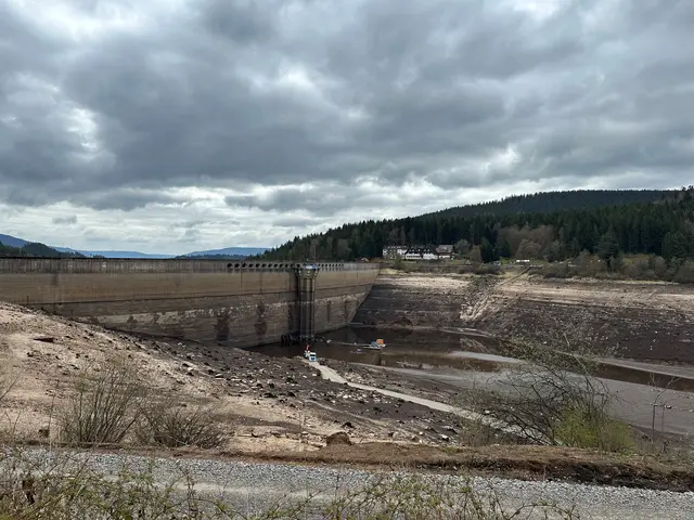 Das Wasser ist weg: Die Arbeiten beginnen | Foto: EnBW