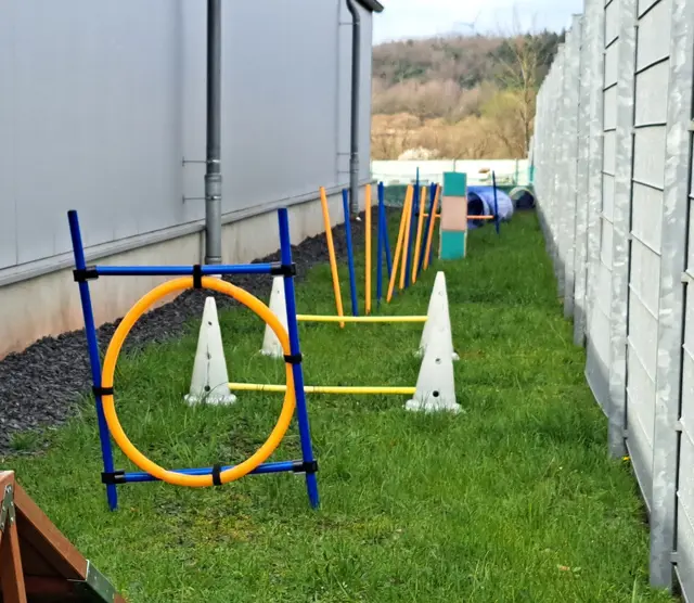 Durch den Ring, über die Stäbe und im Slalom: Der Hundeparcours bringt jede Menge Spaß für Vier- und Zweibeiner | Foto: Monika Klein