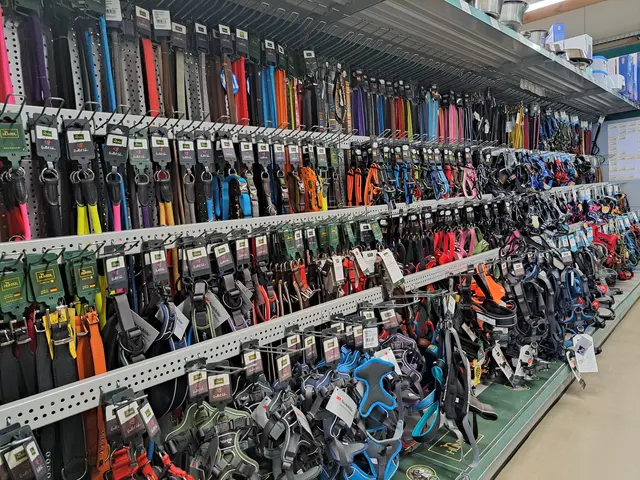 Aktiv und gut versorgt: Der Hundeparcours Kaiserslautern bietet Trainingseinheiten für Hunde – im Anschluss finden Halter alles von Geschirren bis Leinen bei Landfuxx Weilerbach | Foto: Monika Klein