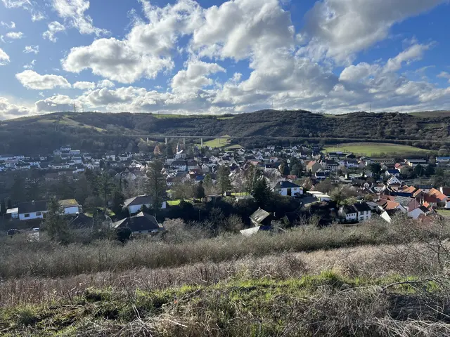 Gesamtblick über Alsenz 2026 vom Neubaugebiet Nordpfalzblick aus  | Foto: Arno Mohr 