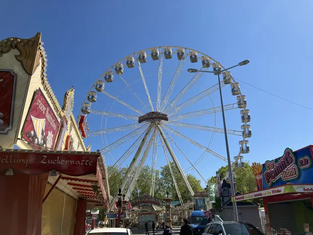 Das Riesenrad der Mannheimer Mess dürfte wohl jeder kennen. Mit 42 Metern Höhe ist es jedoch nicht das höchste Fahrgeschäft im Jahr 2026. | Foto: Sarah Isele