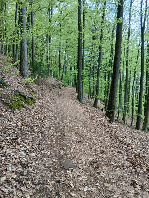 ZUKUNFT braucht BEWEGUNG  und  neue Wege. | Foto: ELISABETH WEBER