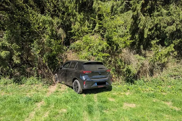 Eine Rotte Wildschweine kreuzte die Fahrbahn der K 46. Beim Ausweichen kam ein Autofahrer von der Straße ab und prallte gegen einen Baum. | Foto: Polizeiinspektion Rockenhausen