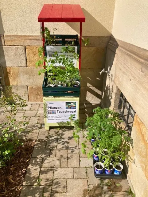 Ab sofort stehen die Pflanzentauschregale am Museum und im Vogelpark wieder für Hobbygärtnerinnen und -gärtner bereit – hier zu sehen ist das prall gefüllte Regal am Museum | Foto: Stadt Viernheim