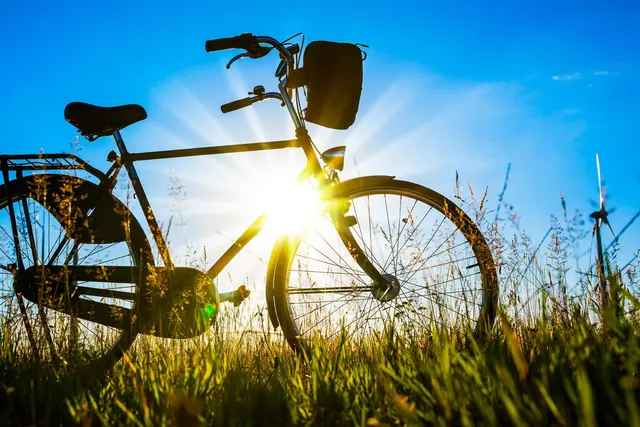 Ab Montag, 4. Mai, wird der Radweg zwischen Lohnsfeld und Wartenberg für rund vier Wochen vollständig gesperrt. Grund ist der Bau eines neuen Regenrückhaltebeckens. | Foto: Günter Albers/stock.adobe.com