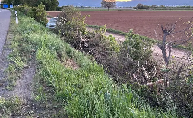 Nach einem Überholmanöver verlor ein 27-Jähriger auf der A65 die Kontrolle über seinen Wagen. Ein Atemalkoholtest ergab 1,94 Promille, der Führerschein wurde sichergestellt. | Foto: Polizeidirektion Landau