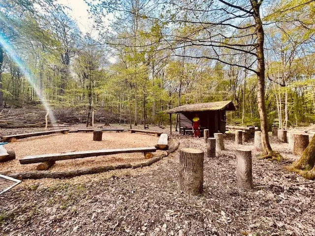 Das neu gestaltete Waldklassenzimmer im Gemeindewald Lauterecken | Foto: Landesforsten RLP / Yvonne Limpert