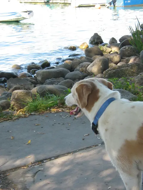 Foto: Barbara Schwarz ... In Aussicht: bessere Zukunft für alle Tiere