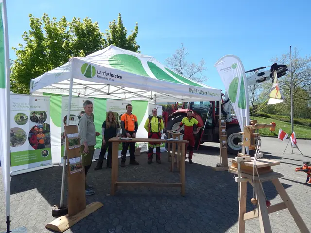 Auch das Forstamt war im Außenbereich vertreten | Foto: Anja Stemler