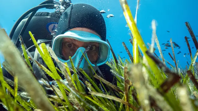 Terra X: Faszination Wasser | Foto: ZDF, Foto: Lars Bönke