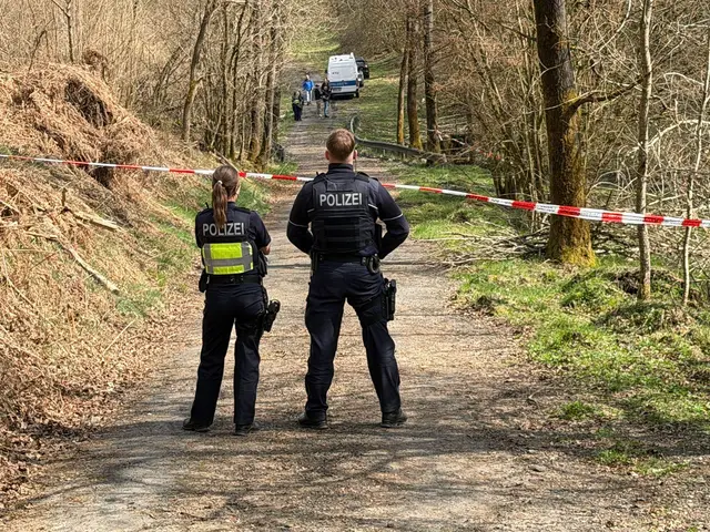 In diesem Waldstück wurde der Kopf der getöteten Frau gefunden. (Archivbild) | Foto: Berthold Stamm/dpa