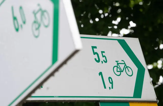 Ohne Reform beim Artenschutz sieht der Verkehrsminister auch den Bau von Radwegen in Gefahr. (Archivbild) | Foto: Sebastian Gollnow/dpa