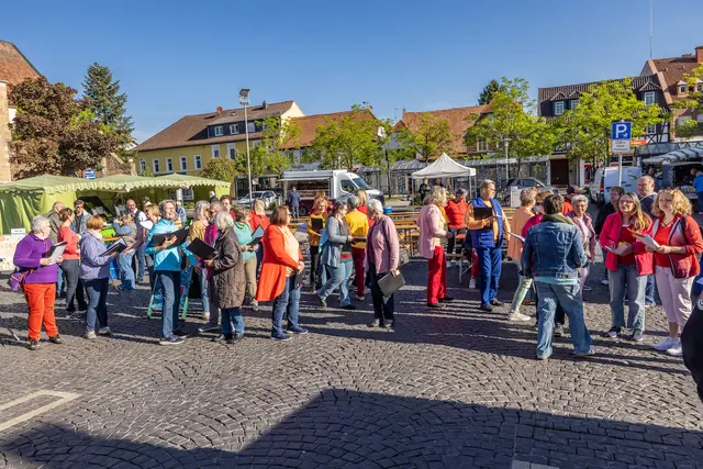 Foto: Johann-Peter Melder