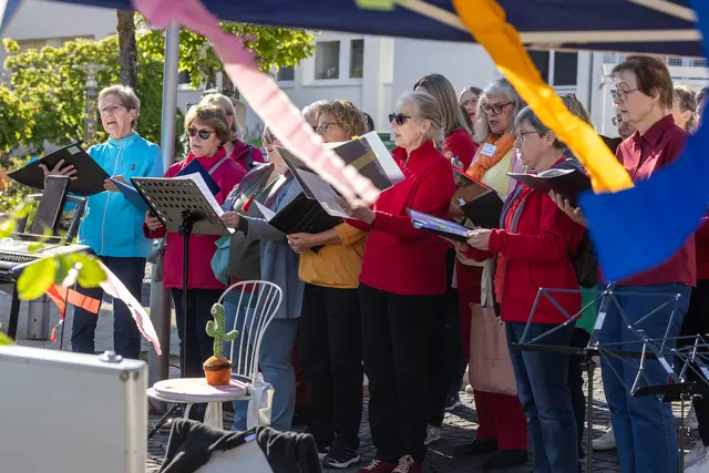 Foto: Johann-Peter Melder