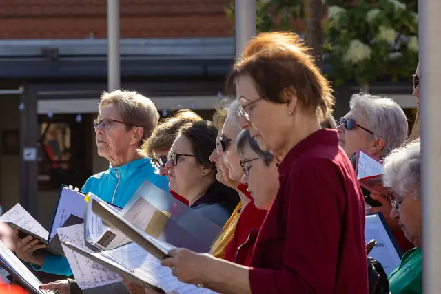 Foto: Johann-Peter Melder