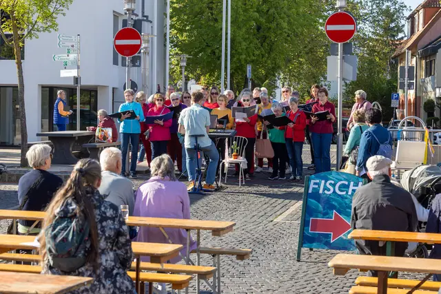 Foto: Johann-Peter Melder