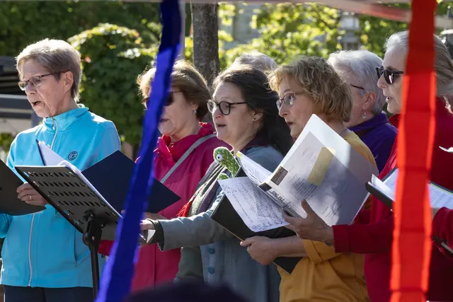 Foto: Johann-Peter Melder