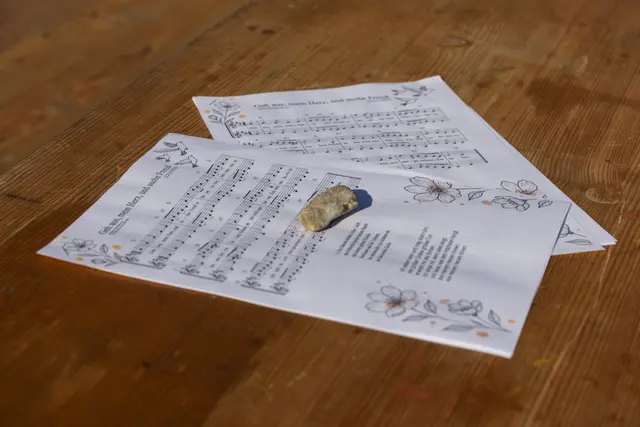 Foto: Johann-Peter Melder