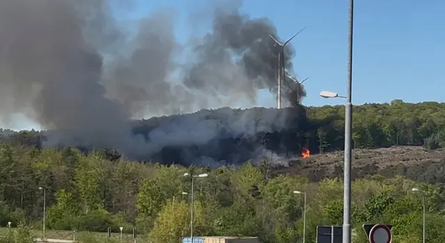 Foto: Kreisverwaltung Kaiserslautern