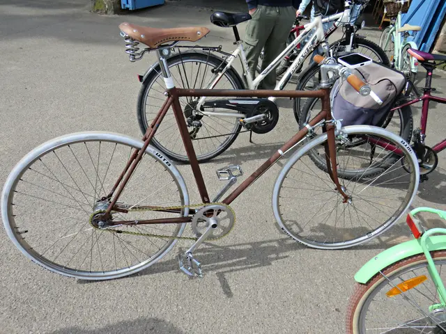 Na das ist ja mal ein originelles Fahrrad | Foto: Brigitte Melder