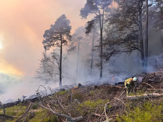 Inzwischen ist der Brand unter Kontrolle, jedoch kämpfen die Einsatzkräfte weiterhin gegen zahlreiche Glutnester und schwelende Bodenbrände | Foto: Kreisverwaltung Kaiserslautern