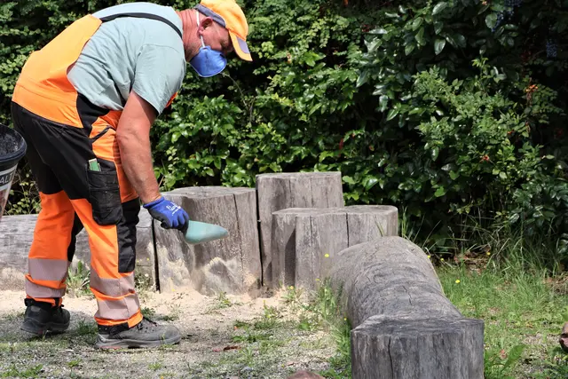 Tapinoma magnum in Landau: Stadt setzt auf gezielte Maßnahmen mit Kieselgur.  | Foto: Stadt Landau