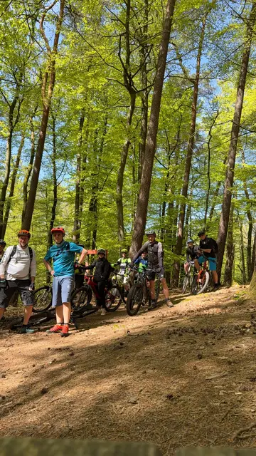 An der Hindenburg Kiefer | Foto: Ch. E.