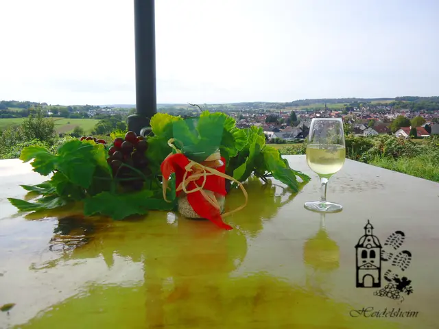 Foto: Heidelser Melkkiwwlreider