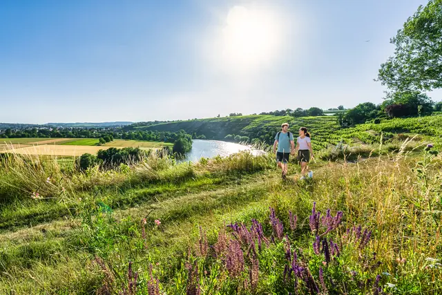 Steillagen-Frühling: Wandern mit Aussicht bei Kirchheim. | Foto:  Landratsamt Ludwigsburg | Johannes Kirchherr