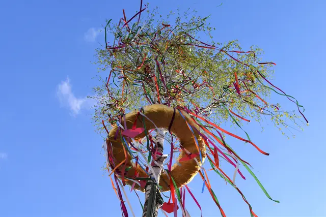 Mit ihren Maifeiern am Freitag, 1. Mai, geben die Landauer Stadtdörfer Wollmesheim und Dammheim den Startschuss für die diesjährige Weinfestsaison.  | Foto: Stadt Landau 