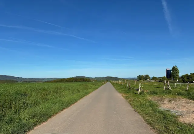 Ein rücksichtsloser Autofahrer erschreckte auf einem Feldweg ein Pferd. Die Reiterin wurde verletzt, der Fahrer flüchtete. | Foto: Polizeiinspektion Kusel und Polizeiwache Schönenberg-Kübelberg