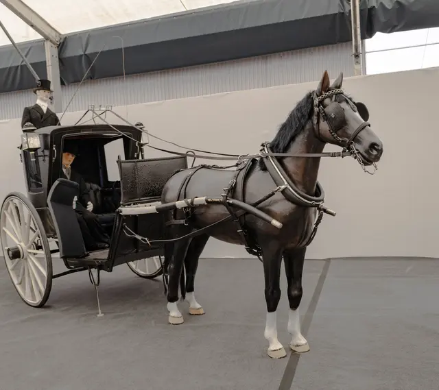 Kutschenausstellung  | Foto: Wolfgang Neuberth