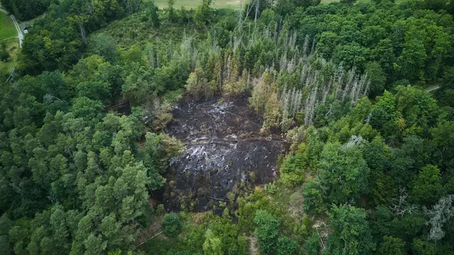 Teils besteht eine sehr hohe Waldbrandgefahr in Rheinland-Pfalz. (Archivbild)  | Foto: Sascha Ditscher/dpa