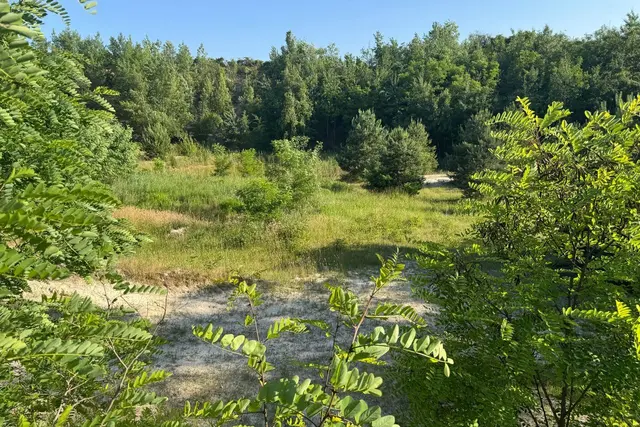Blick ins Naturschutzgebiet | Foto: Karin Schatz, Kirchheimbolanden