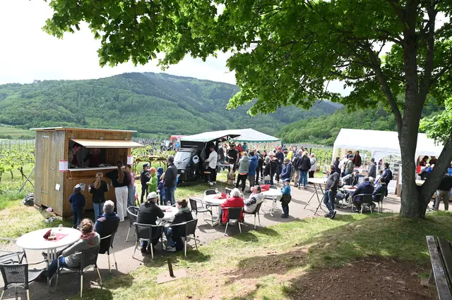 Geselligkeit und Gemütlichkeit stehen bei so einem Weinfest im Fokus.  | Foto: Richard Zinken